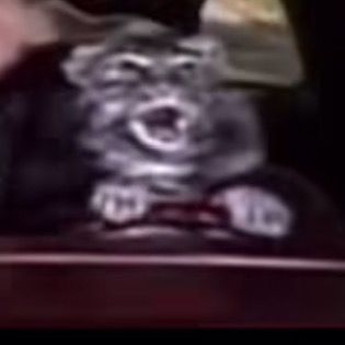 Profile Picture of Jason Day (@user5383769149262) on Tiktok