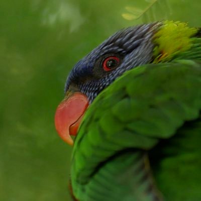 Profile Picture of Kate (@TheToasterBoy) on Twitter