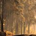 Profile Picture of Felix Lazo lopez (@felixlazolopez) on Pinterest