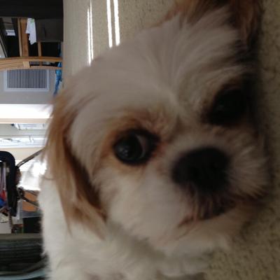 Profile Picture of Eric Bowles (@ericbfla) on Twitter