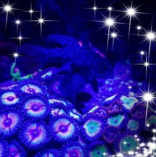 Profile Picture of Jimmy Hoggard (@jimmy.hoggard.758) on Facebook