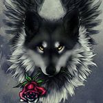 Jason Iles - Instagram Profile Picture of Jason Iles (@ilesjason44) on Instagram