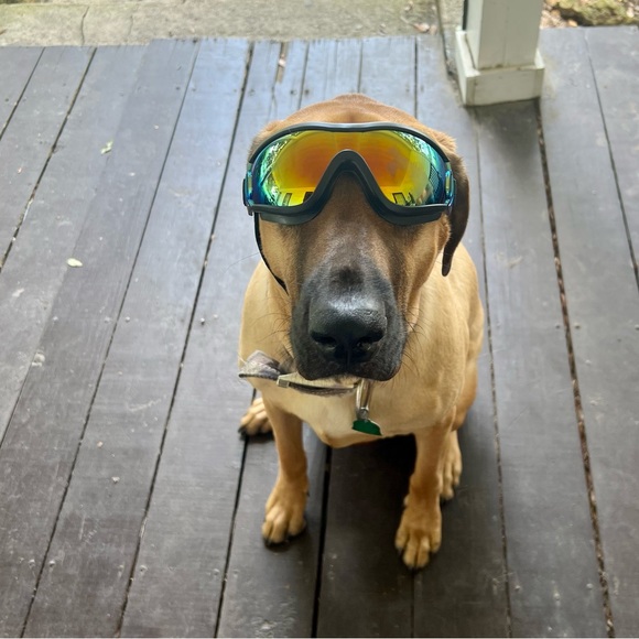 Profile Picture of David Lamica (@davidl79) on Poshmark