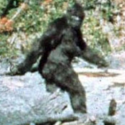 Profile Picture of Sicar DComun. (@sicardcomun.6416) on Youtube