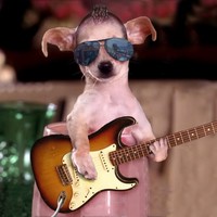 Profile Picture of Octavio Cardenas (@octavio-cardenas) on Quora