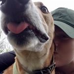 Profile Picture of Kelly Storrs (@kmezs) on Instagram