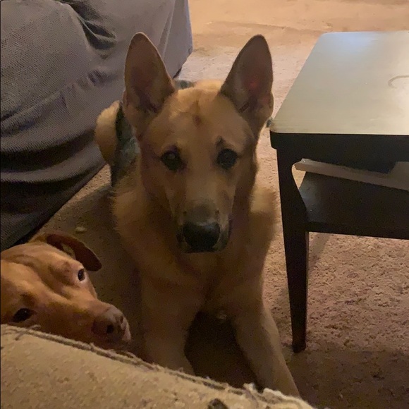 Profile Picture of Shawna Grant (@shawna_grant) on Poshmark