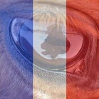 Profile Picture of Lotte Hansen (@lotte-hansen) on Quora