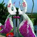 Profile Picture of Paragi Patel (@paragi.patel.752) on Instagram