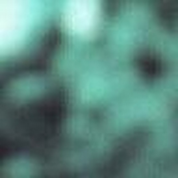 Profile Picture of Peyton Patterson (@peytonbaby02) on Poshmark