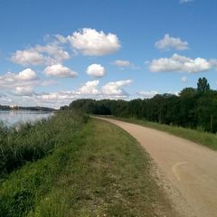 Profile Picture of John Baldini (@john.baldini) on Tiktok