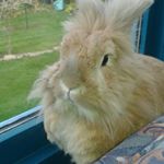 Profile Picture of JillyP (@jillian.perry24) on Instagram