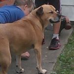 Profile Picture of Eric Edwardsen (@edwardseneric) on Instagram