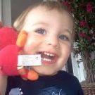 Profile Picture of Lorie Tellis (@purplecatlady4) on Pinterest