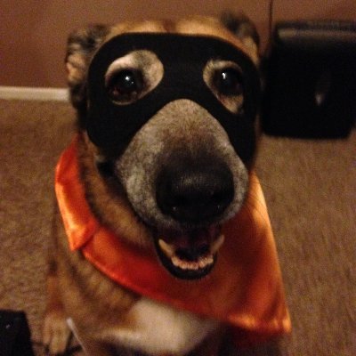 Profile Picture of Kenneth Phan (@Kennethphan10) on Twitter