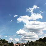 Profile Picture of Kris Wong (@kris_neverwong) on Instagram