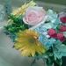 Profile Picture of Tammy Potts (@tammypotts35) on Pinterest