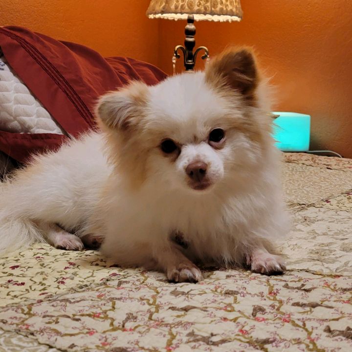 Profile Picture of Paula Waldrop (@userpbw12281956) on Tiktok