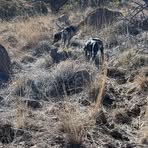 Profile Picture of Craig Fischbach (@craig.fischbach.75) on Facebook