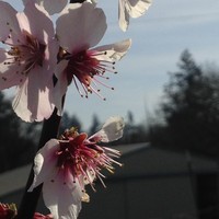 Profile Picture of Drew Mason (@drew-mason-9) on Quora