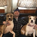 Profile Picture of Joseph Cronin (@joseph.cronin7676) on Instagram