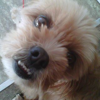 Lucy Huskins - Facebook Profile Picture of Lucy Huskins (@lucy.huskins) on Facebook