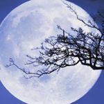 Profile Picture of Dianna (@dianna____adams) on Instagram