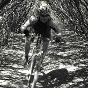 Profile Picture of Bob Larson (@boblarson6776) on Youtube