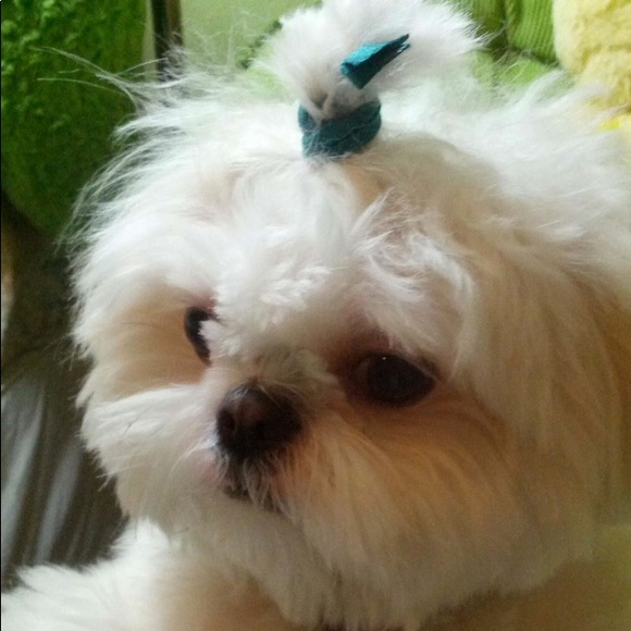 Sabrina Reenan - Poshmark Profile Picture of Sabrina Reenan (@sabrinareenan) on Poshmark