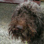 Profile Picture of Martin lees🍺 (@easyleesy18) on Instagram