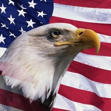 Profile Picture of Dillon_1776 (@Dillon_Wise1776) on Twitter