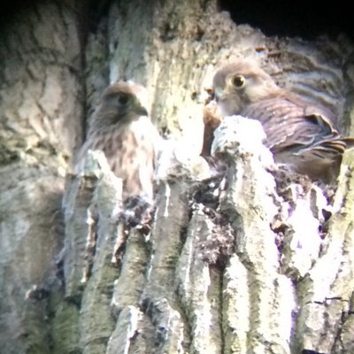 Profile Picture of Mark Lucas (@ellisethan) on Twitter