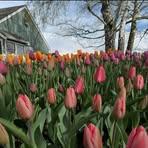 Profile Picture of Robinson Hopkins (@robinson.hopkins.139526) on Facebook