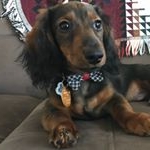 Profile Picture of Kenneth Walter Carroll (@longboyken) on Instagram