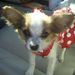 Profile Picture of Tina Ritter (@rtritter) on Pinterest