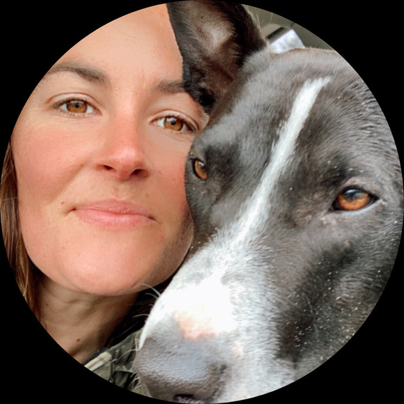 Profile Picture of Madia Jamgochian (@madiazoe) on Poshmark