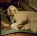 Profile Picture of Jack Eisenstein (@jack.eisenstein.9) on Facebook