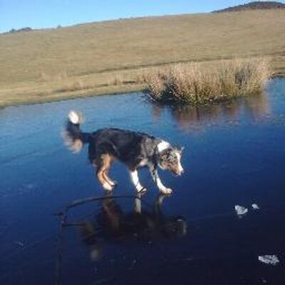 Profile Picture of Vicky Morgan (@_vickymorgan) on Twitter