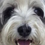 Profile Picture of Kirby John (@kirbyjohn_) on Instagram