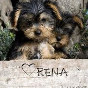 Profile Picture of Rena Li (@159510284) on Myspace