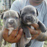 natasha - Instagram Profile Picture of natasha (@nay.jose) on Instagram