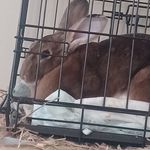 Profile Picture of Garret Keckler (@keckler.garret) on Instagram