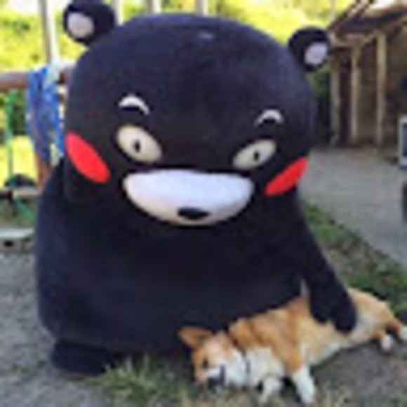 Profile Picture of Cheng Huang (@daily2432121) on Poshmark