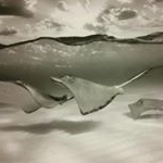 Kyle Musselman - Instagram Profile Picture of Kyle Musselman (@musselman.kyle) on Instagram