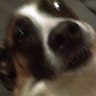 Profile Picture of Matthew Rozell (@1mattrozell) on Pinterest