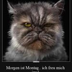 Profile Picture of Michael Kröger (@mkroeger79) on Instagram