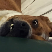 Profile Picture of Deborah Sinclair (@deborahsinclair9218) on Youtube