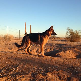 Profile Picture of Brad Griswold (@brad.griswold.9615) on Facebook
