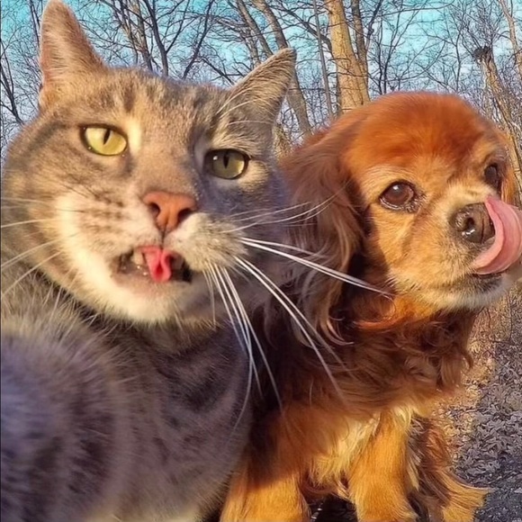 Profile Picture of Lelianna Turcios (@leliannaturcios) on Poshmark