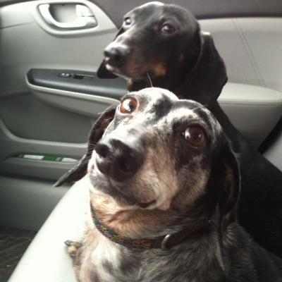 Profile Picture of Ted DeVore (@DevoreTed) on Twitter